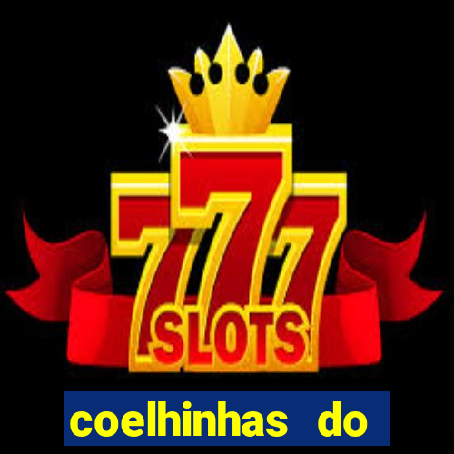 coelhinhas do brasil site